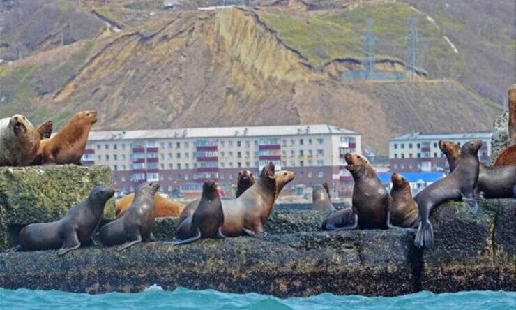 Фото: tourism.sakhalin.gov.ru, Сахалинская область 