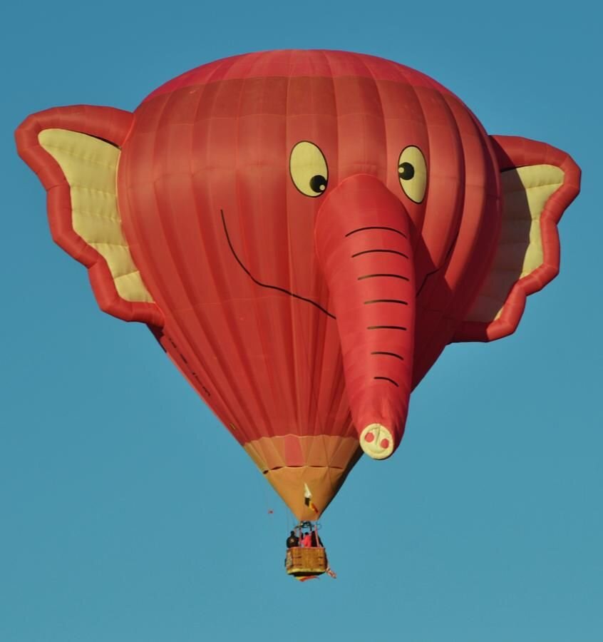 Вырасти слона. Надувной Слоник. Воздушный шар психоделика. Книжка про надувного слоника. Надувной костюм на слоне.