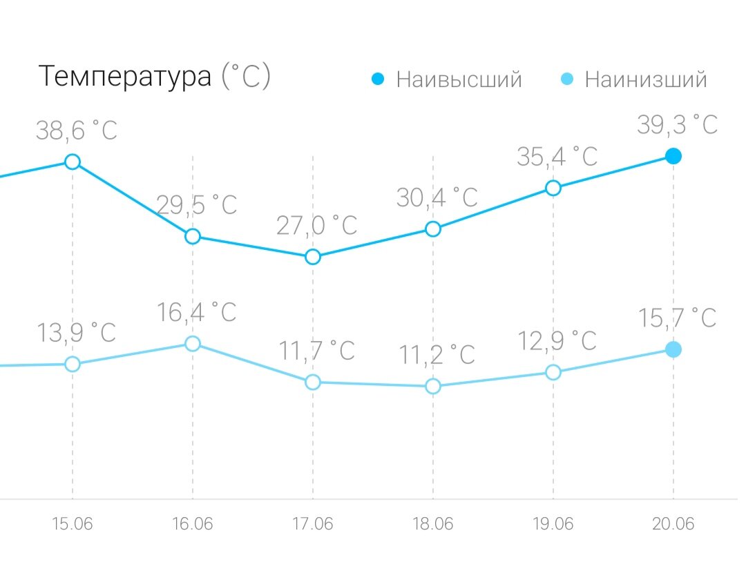 Чем опасна сильная жара для суккулентов. | Юля Суккулентношная. Комнатные  джунгли | Дзен