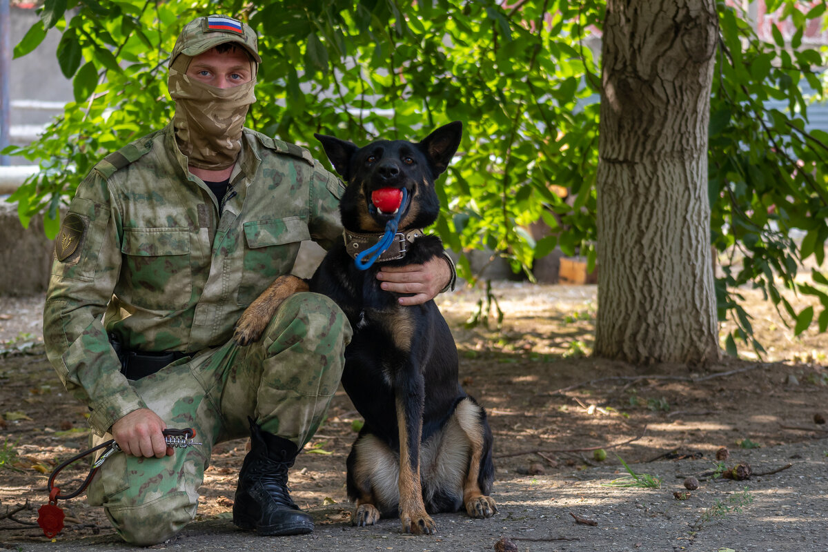 Обучение собак