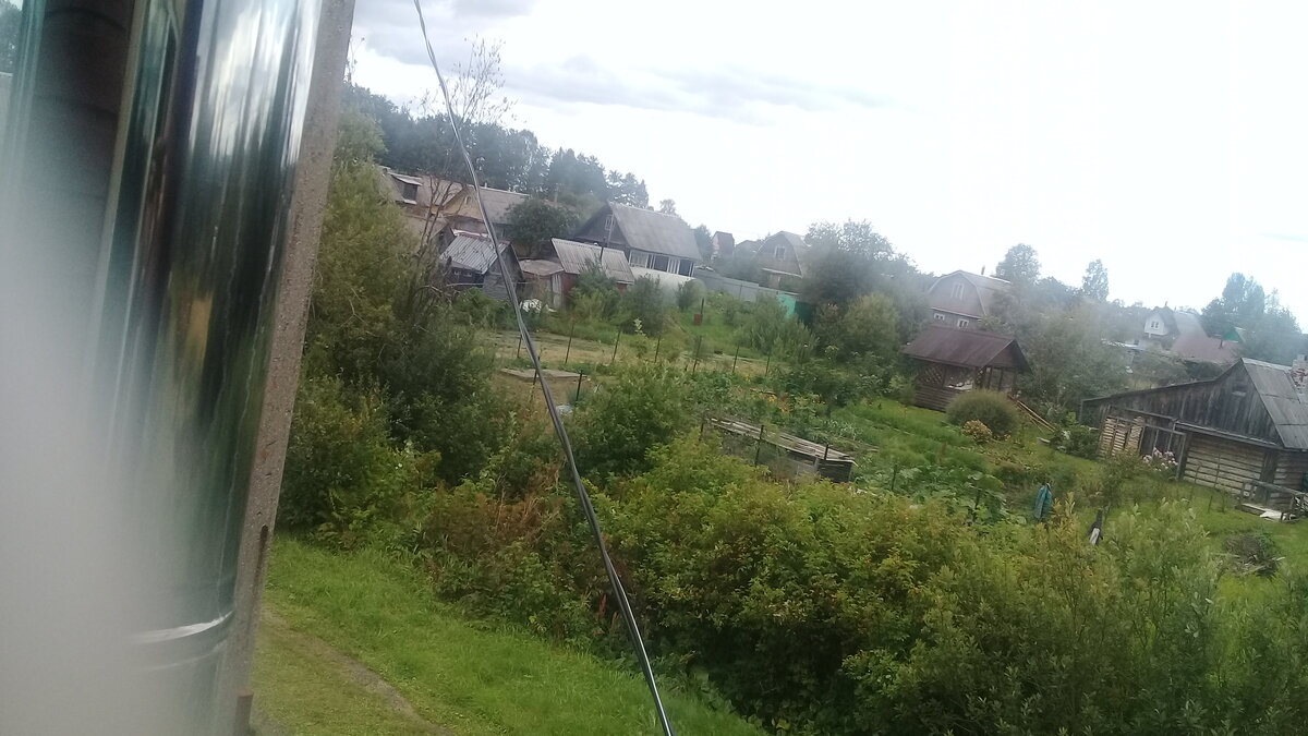Вид на пруд из Нашего Дома 