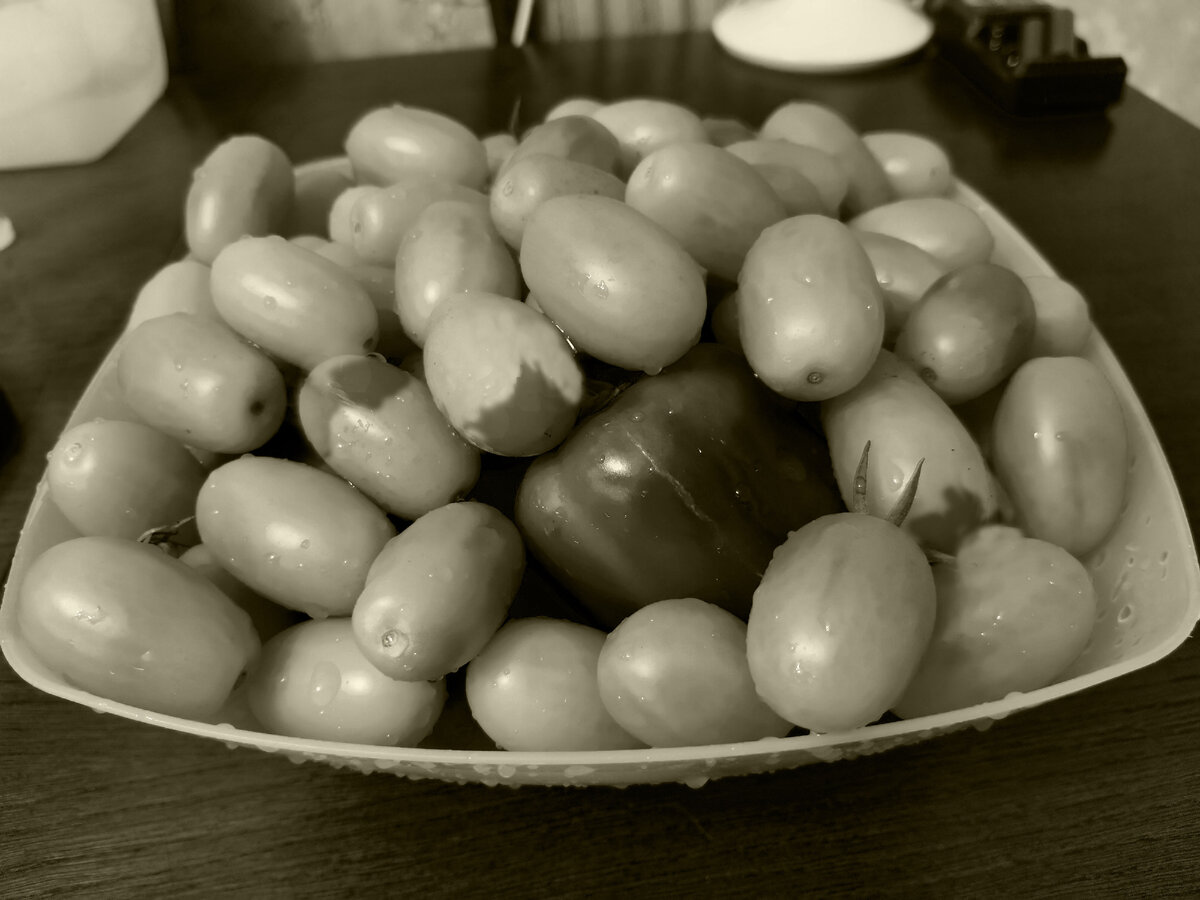 Вершинная гниль томатов  - комментарии агронома