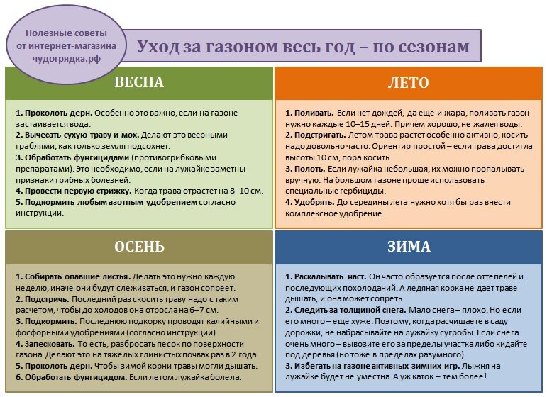 Типы газона: рулонный или посевной