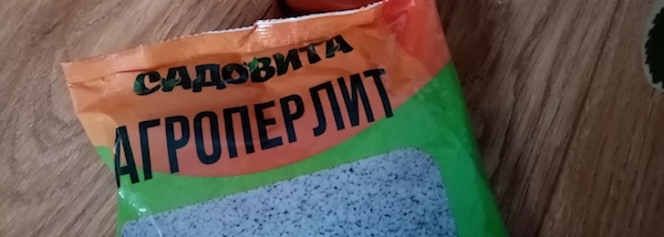 5 распространенных ошибок в посеве эустомы, из-за которых она хуже всходит, листья скручиваются, рассада получается хилая2