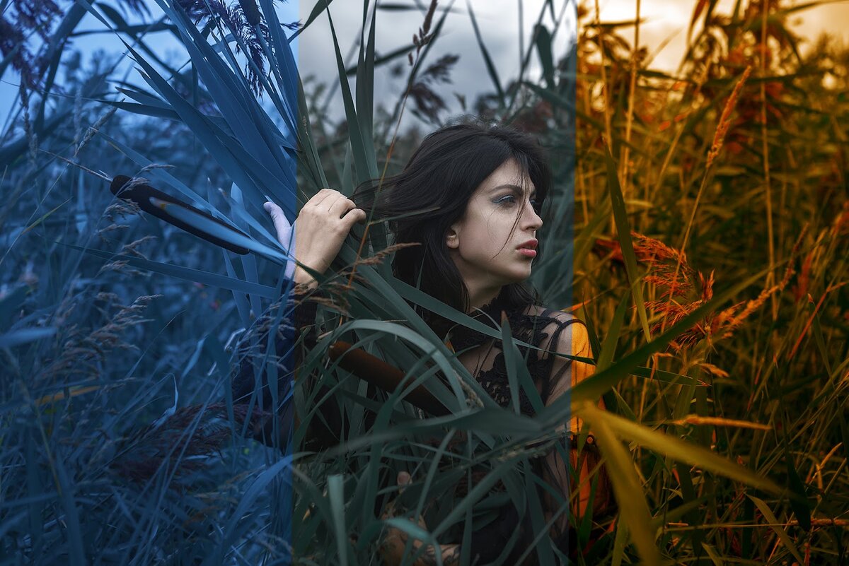 Иллюстрация автора