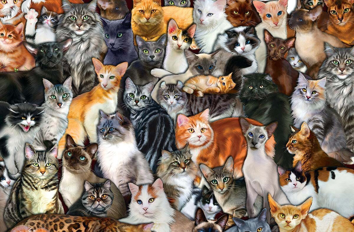 Фото с «Яндекс Картинок»