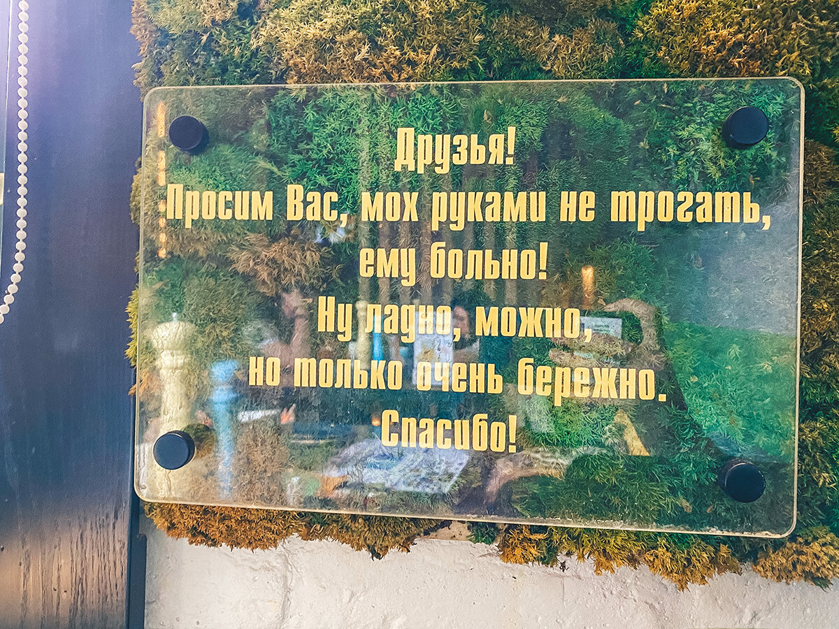 Стена из живого мха →