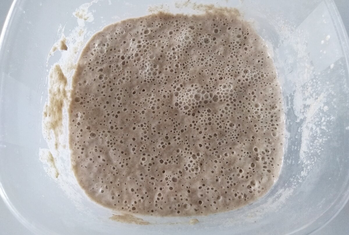 Забродившая закваска