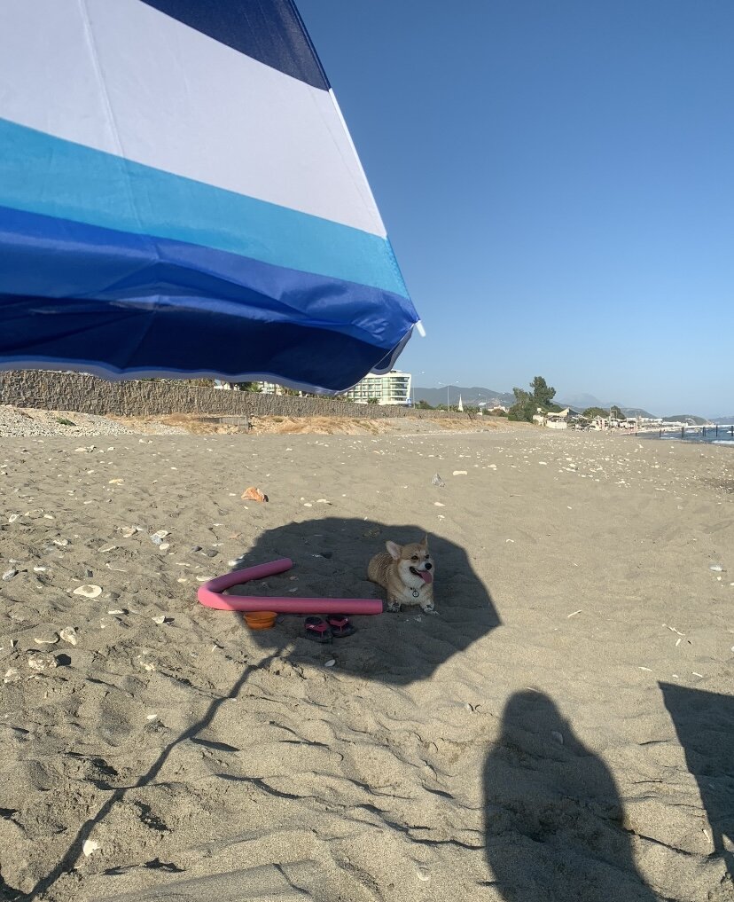 На пляже под зонтиком.