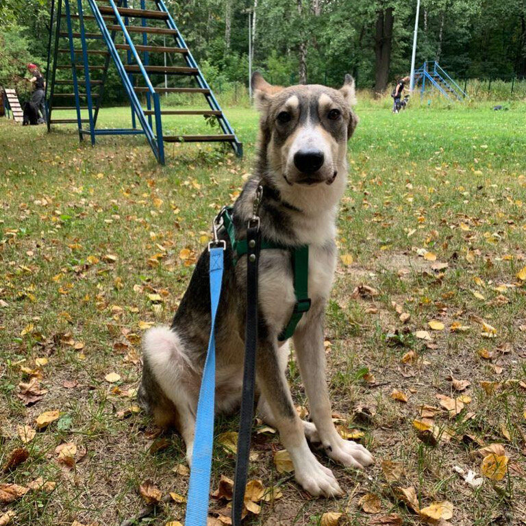 Ну что вы меня все тащите на улицу, нажился я там, ничего хорошего 