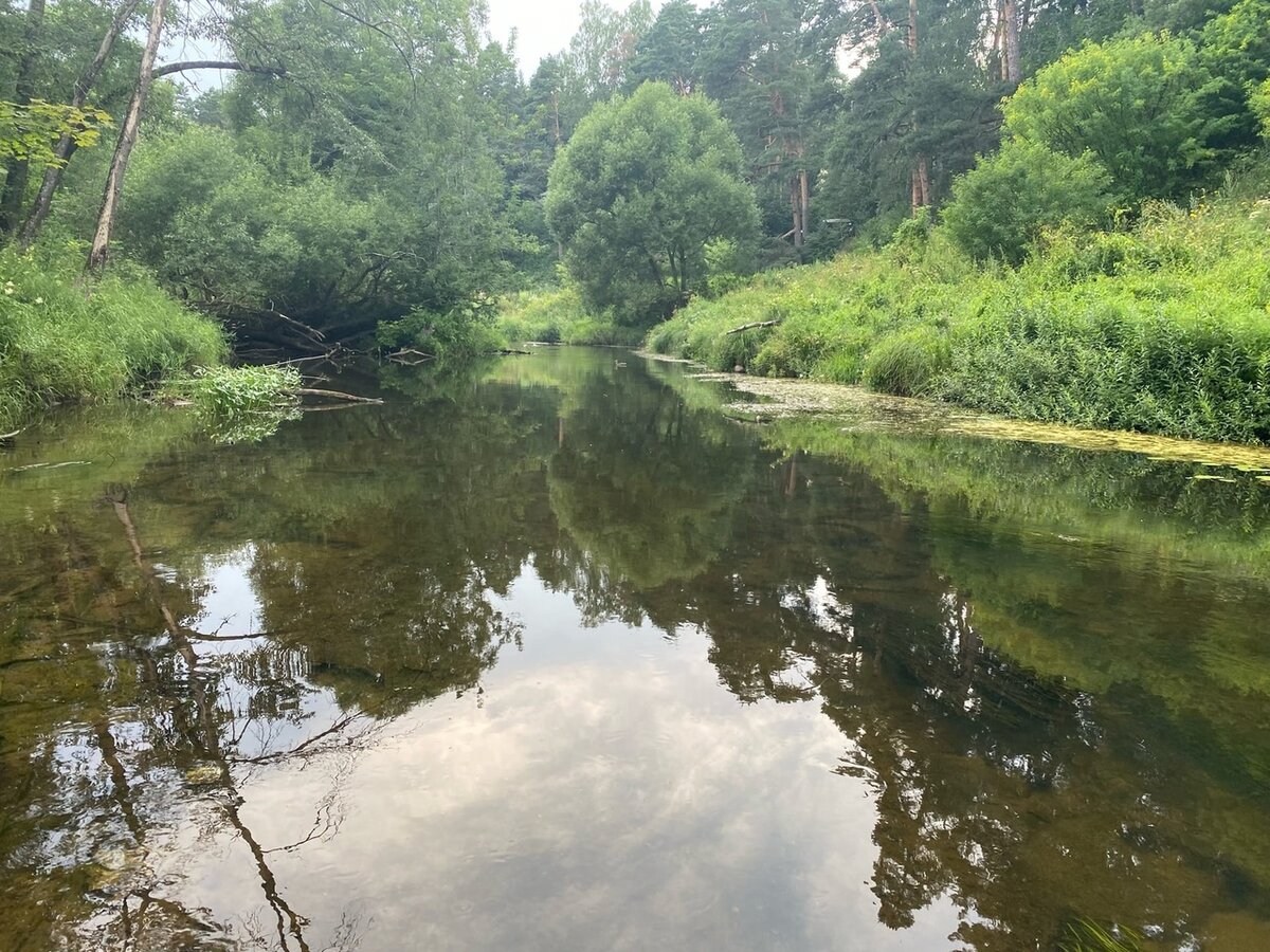 Ловля голавля на волге