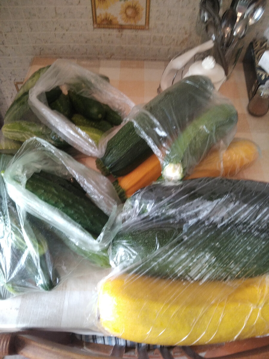 Огурцы и кабачки ( очень много😁)