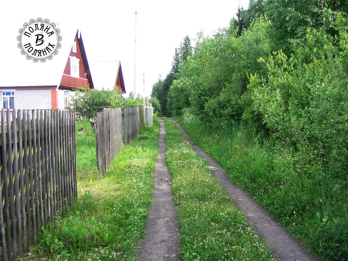Выглядит живописно