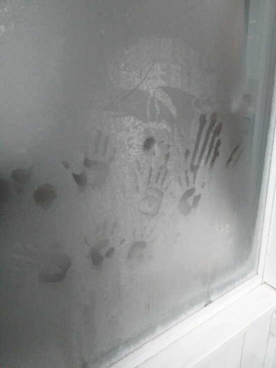     Фото: "Омск.ВК"/ "VK.com"