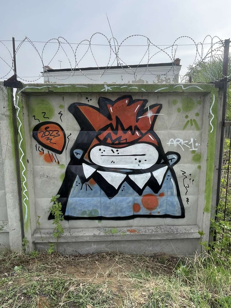 *зарека