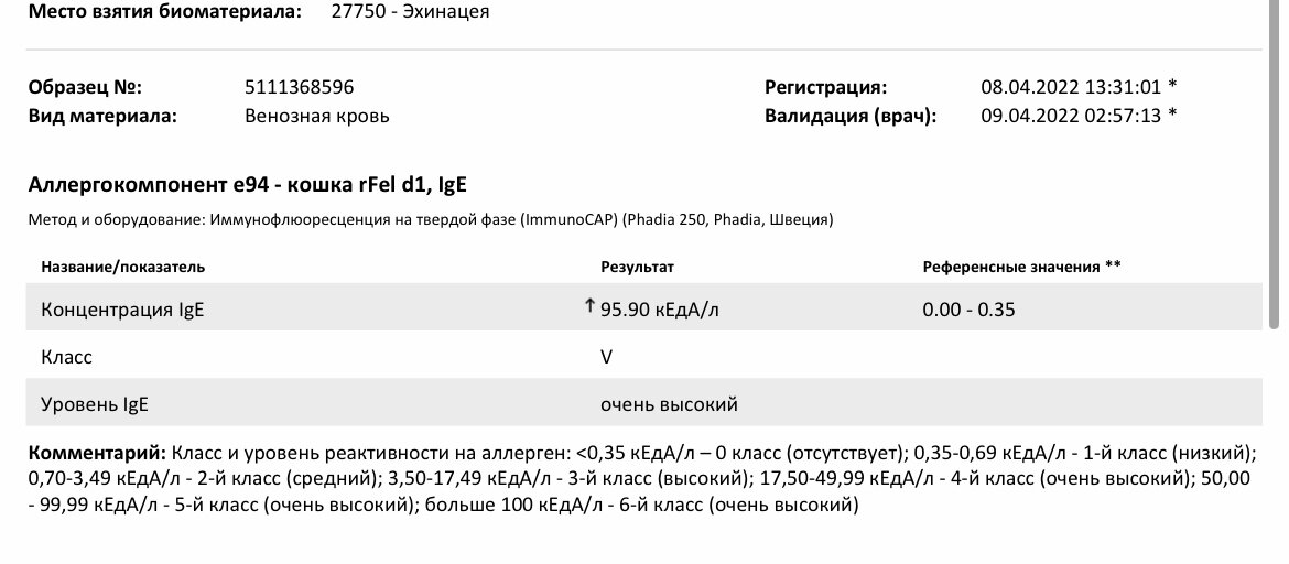 Актуальные вопросы диагностики и лечения дисбиоза кишечника | retrityoga.ru