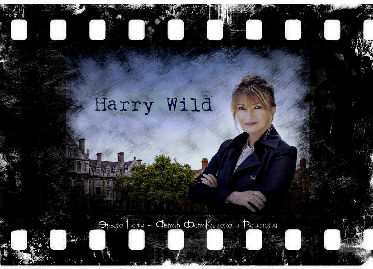 Harry Wild, сериал, с 2022 г. ФотоКоллаж Эльза Герм. 