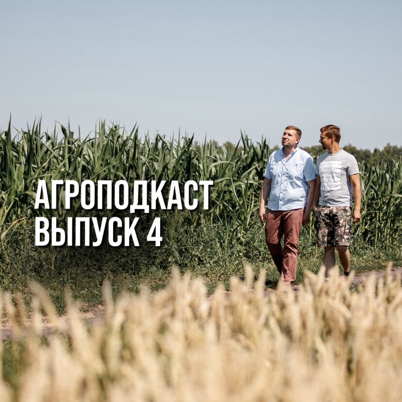 АГРОПОДКАСТ. Выпуск 4 - «Что сеять в 23-25 сельхозгоду, чтобы остаться на плаву.»