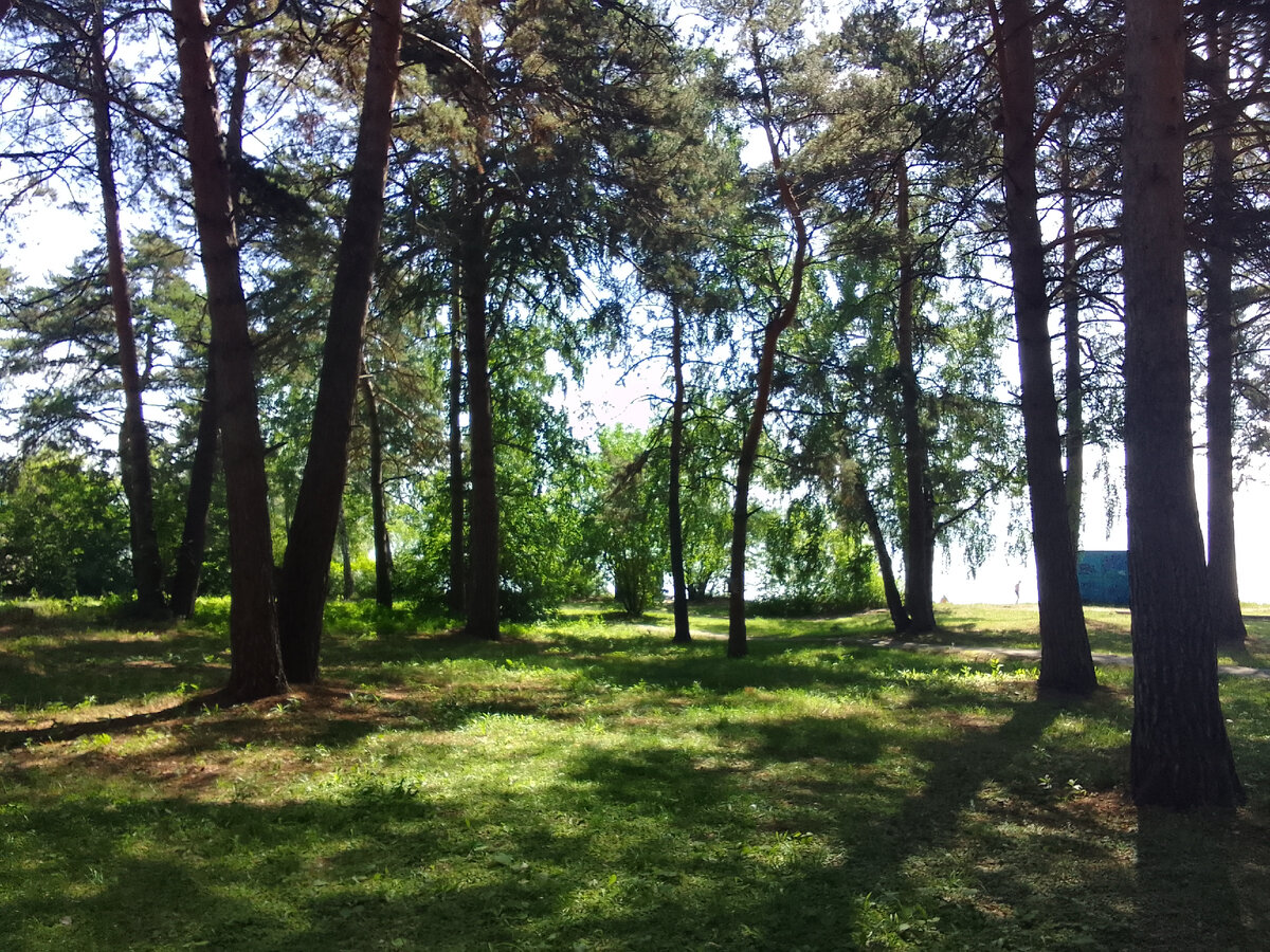 Парк культуры и отдыха "у моря Обского". г.Новосибирск. микрорайон "ОбьГЭС". Фото автора  Июль 2023 г.  