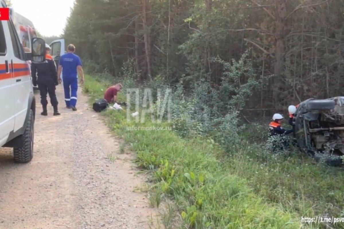    Пять человек пострадали в ДТП в Палкинском районе