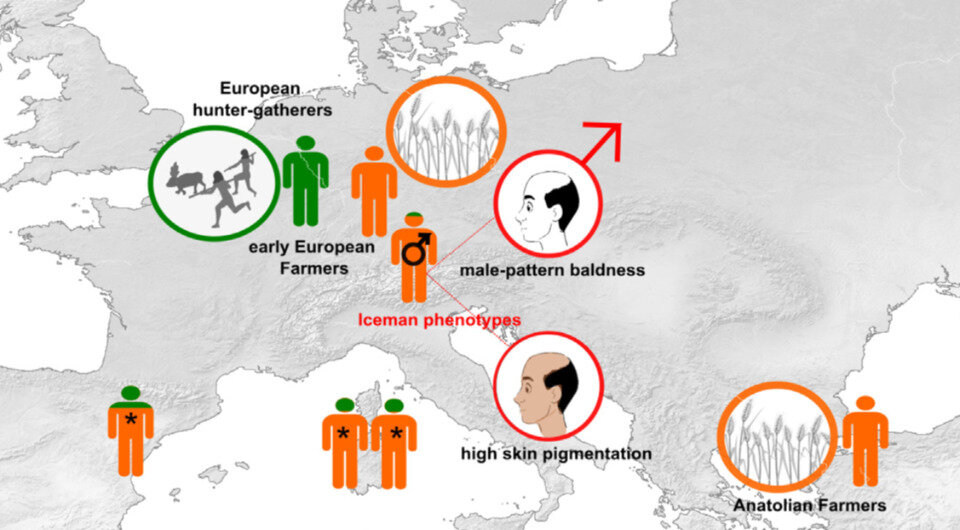   Ke Wang et al. / Cell Genomics, 2023