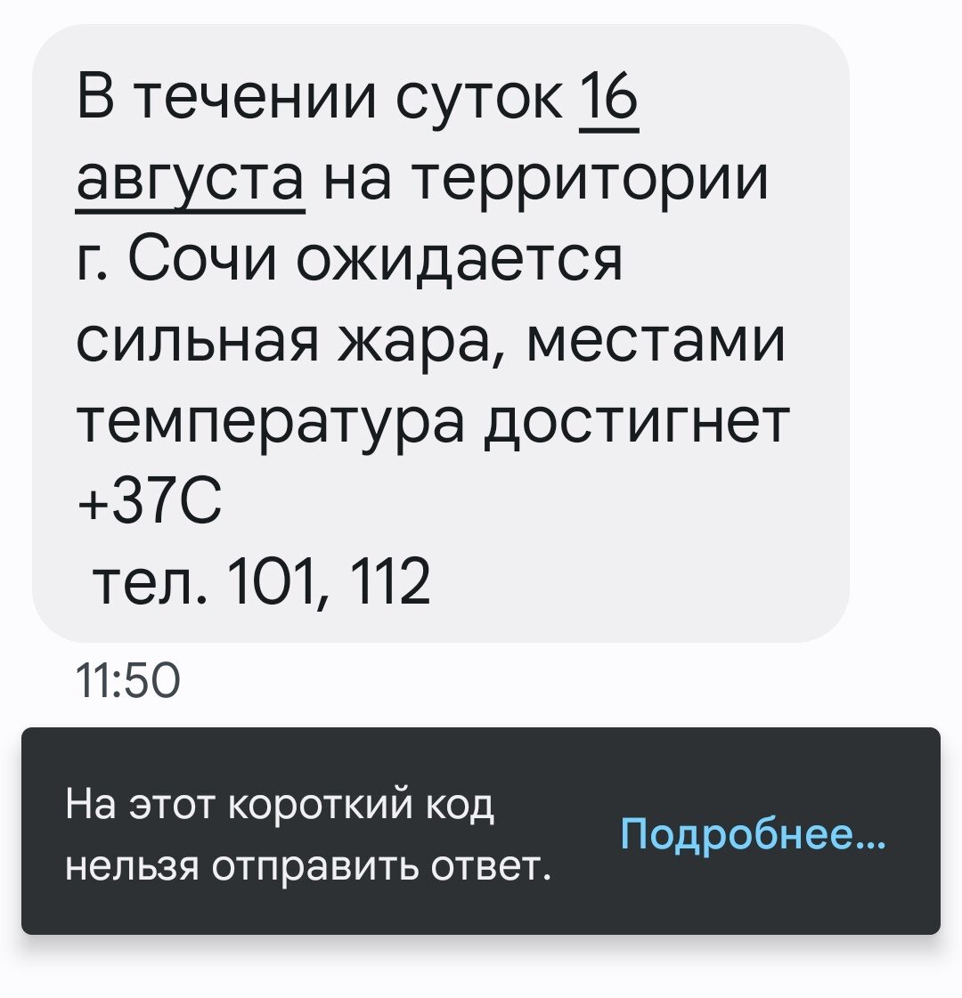 Середина августа 2023 в Сочи: палящее солнце, опасный уровень ультрафиолета  и тёплое, как парное молоко море. | Пенсы на море | Дзен