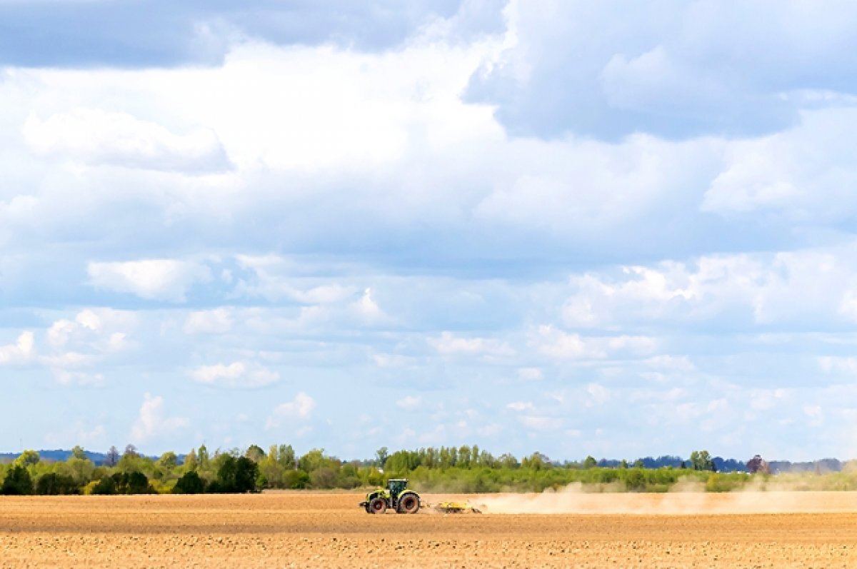    В Японии сообщили о росте в июле импорта зерновых из России на 5680%