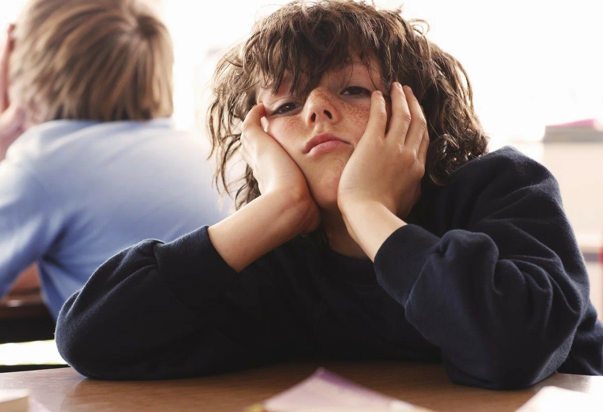 Яндекс картинки