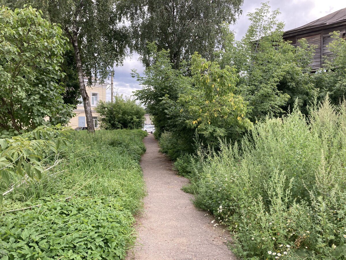 Типичная картина на улицах малых городов. Наш неиссякаемый источник контента - Торжок, фото авторов