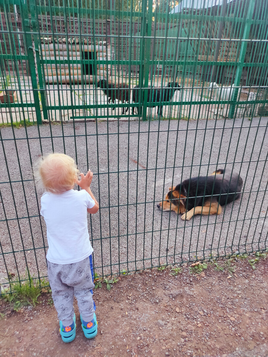 Ну, примерно так и было. 