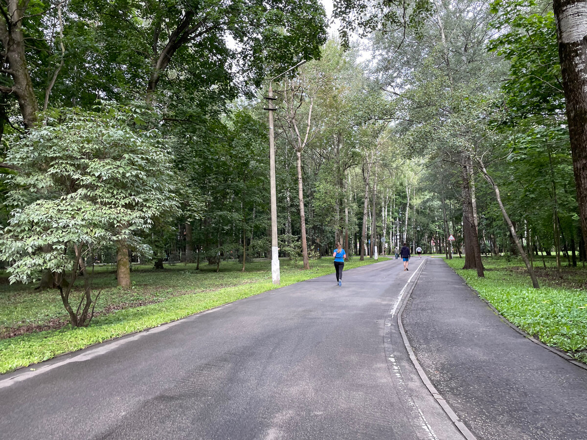 платоновского парка тула