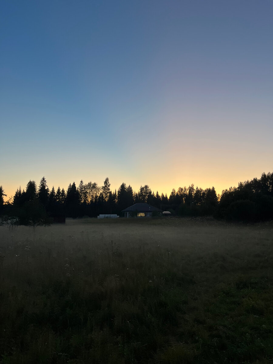 Фото автора. Вечерний туман окутывающий мир. 