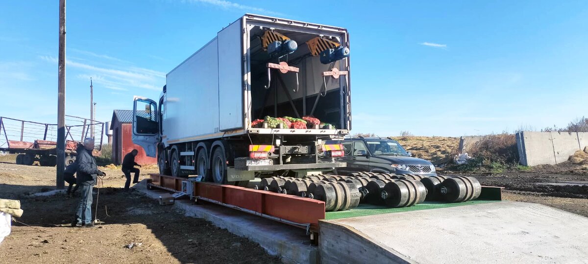 Активное развитие сельского хозяйства в Новосибирской области является одним из приоритетов региональной экономики.