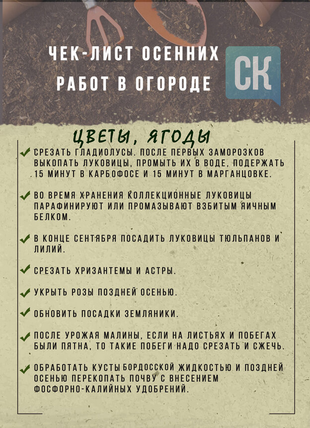    Чек-лист осенних работ в огороде