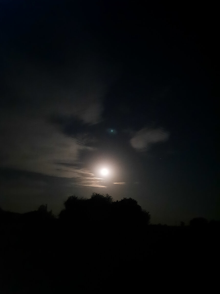 Луна в ночи. Фото автора 