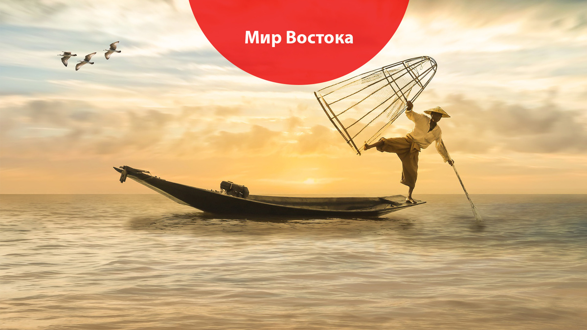 Фото из открытых источников 