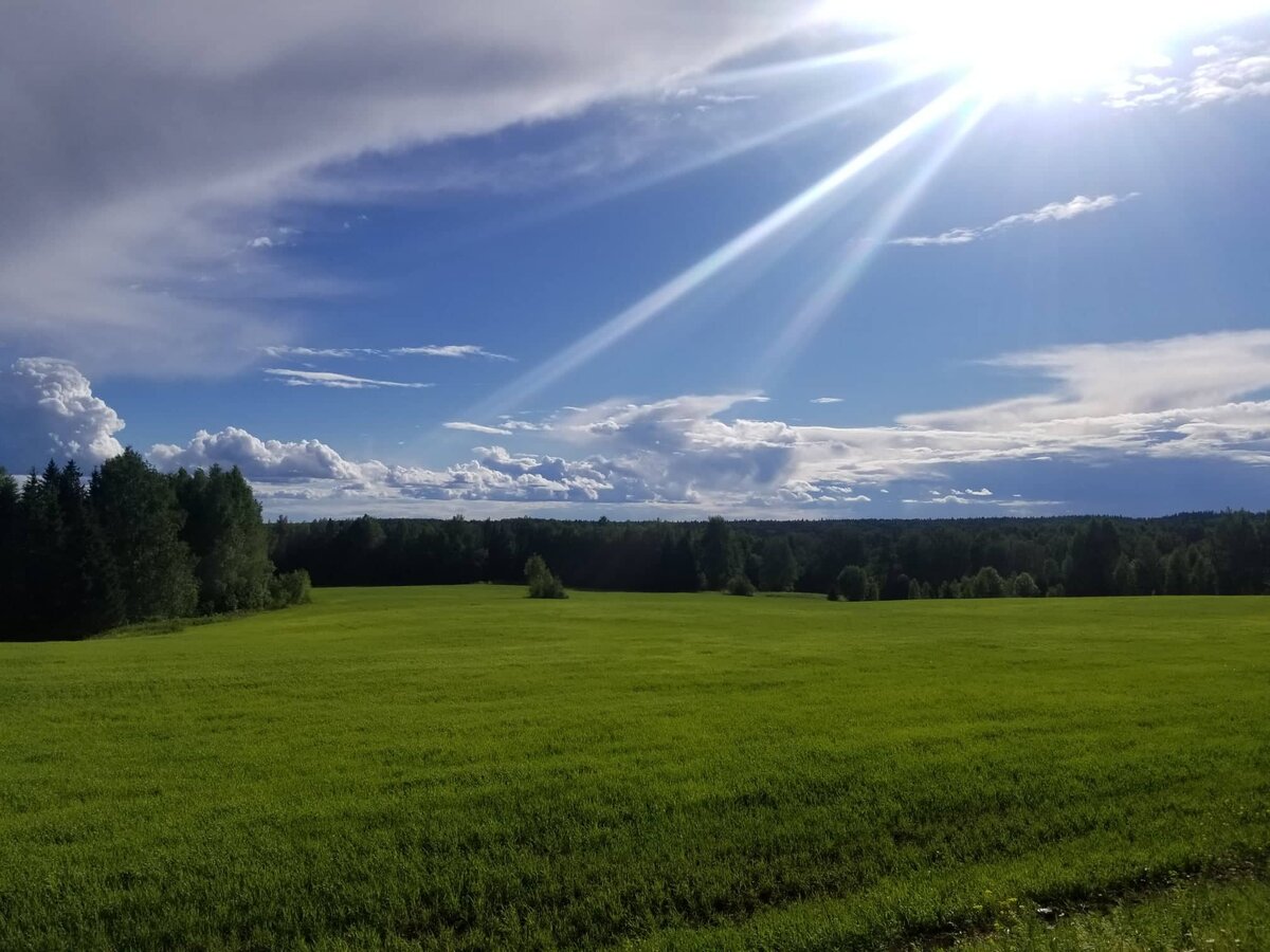 Деревня окружена изумрудными полями