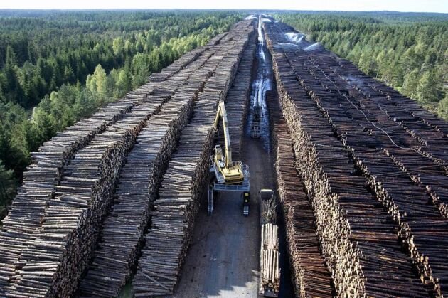 Источник: landskogsbruk.se