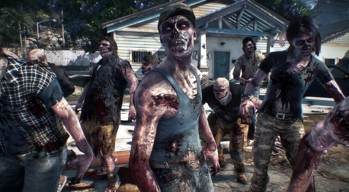 Фото взято из открытых источников