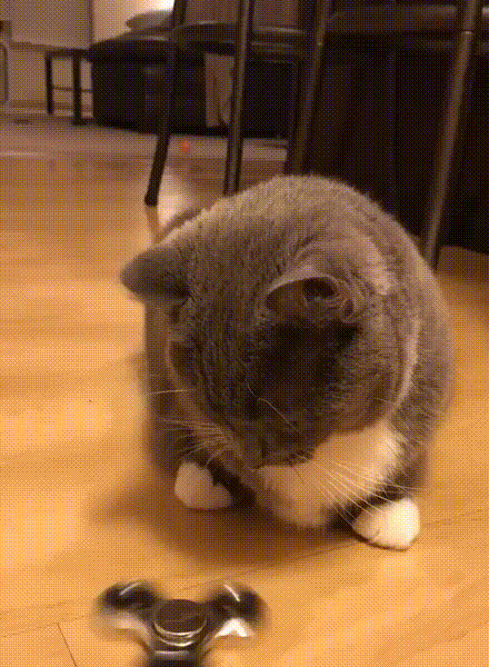 ВОТ ЭТО ПЛЮЩИТ