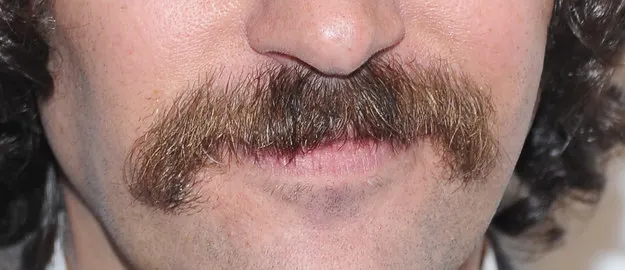 Michael Loccisano / Getty Images