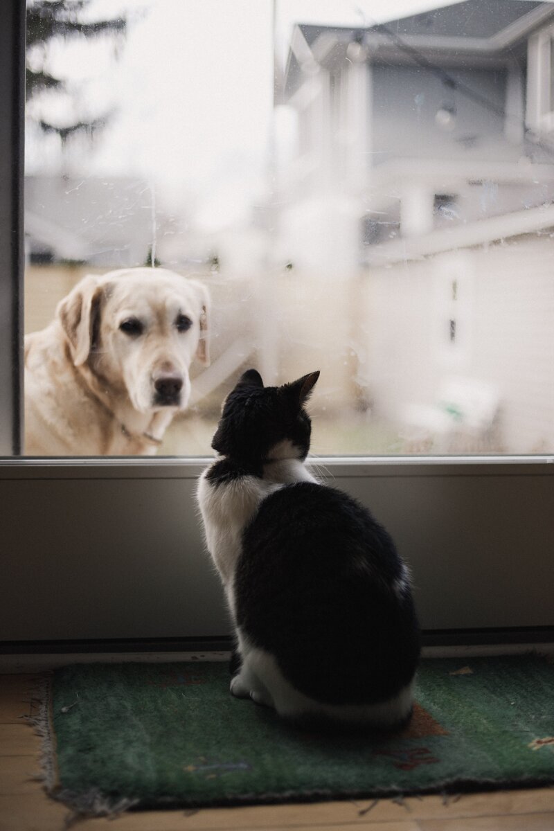 https://unsplash.com/photos/dD75iU5UAU4 Alexis Chloe