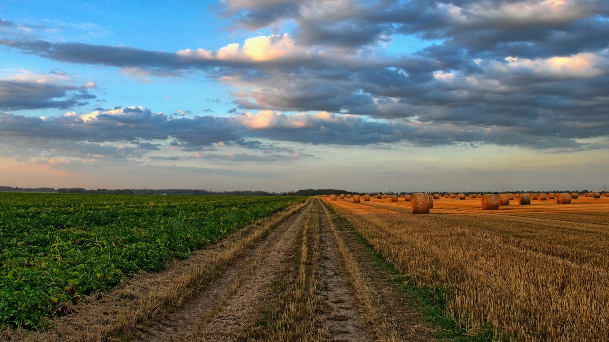 Фото с сайта pixabay.com.