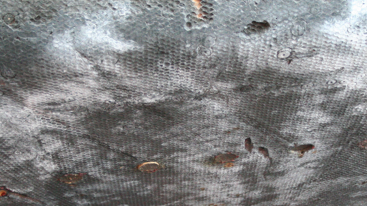 Абляционный тепловой щит «Аполлона-12» после возврата через атмосферу Земли. Видны следы абляции материала в плазме

Wikimedia Commons