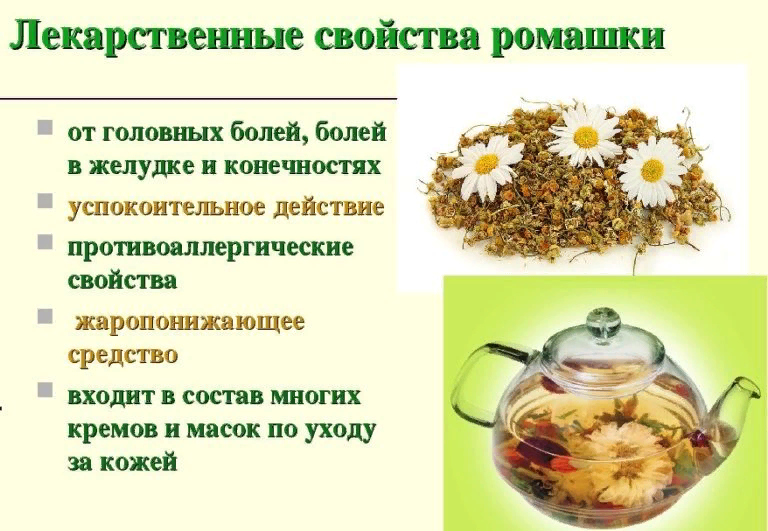 Yandex.ru