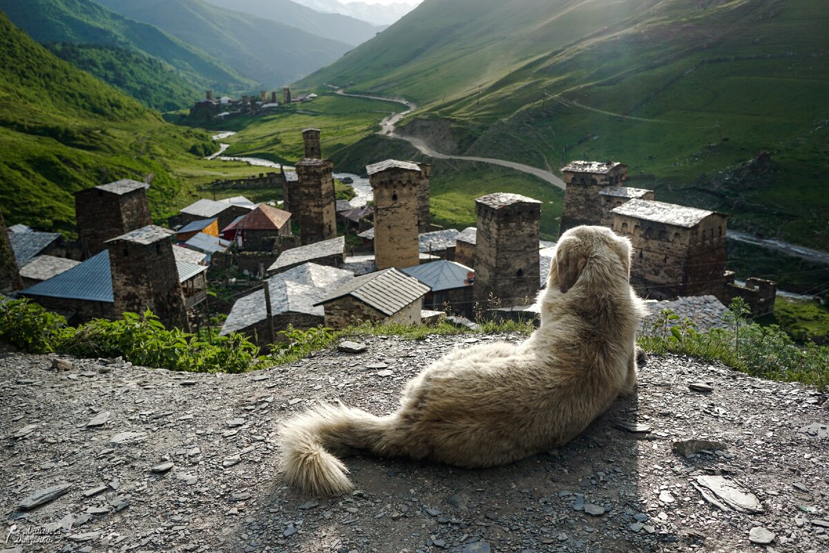 Ушгули Сванетия