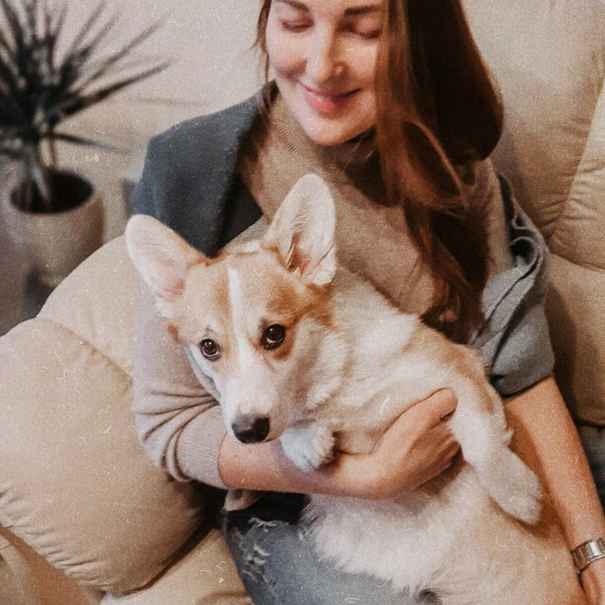 Домашняя хулиганка