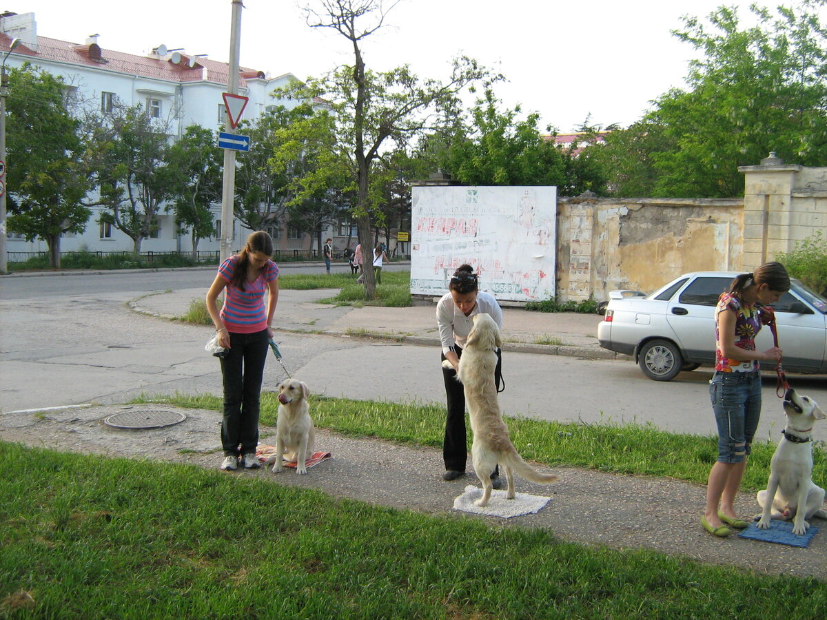 Наши первые тренировки. 2010 год. Вот я дрыщ. Верните меня туда)))