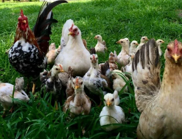 Картинка из интернета.