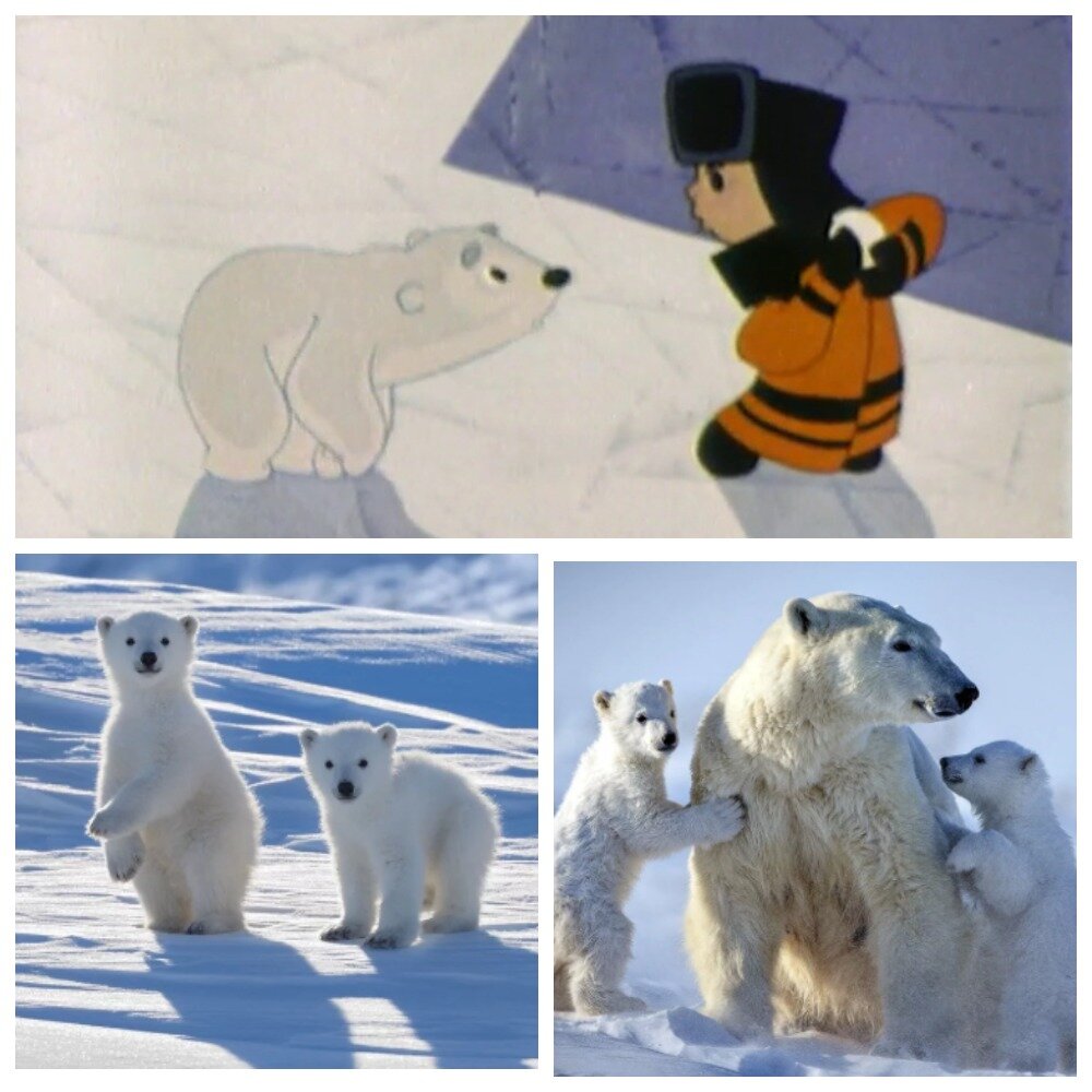 Умка мультяшный и реальный